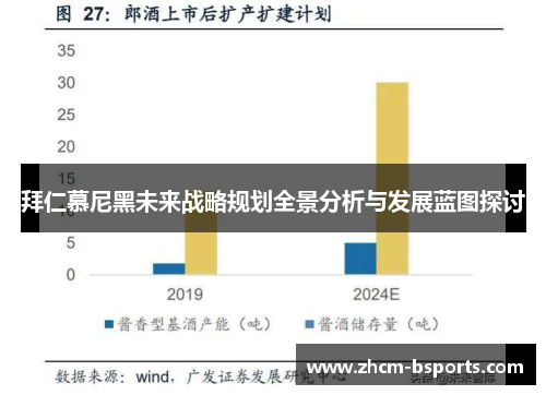拜仁慕尼黑未来战略规划全景分析与发展蓝图探讨